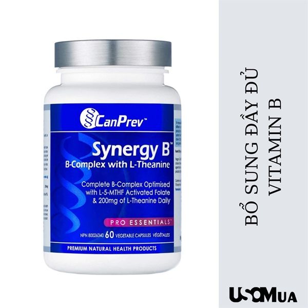 Viên Uống Vitmin B CANPREV Synergy B 60 v