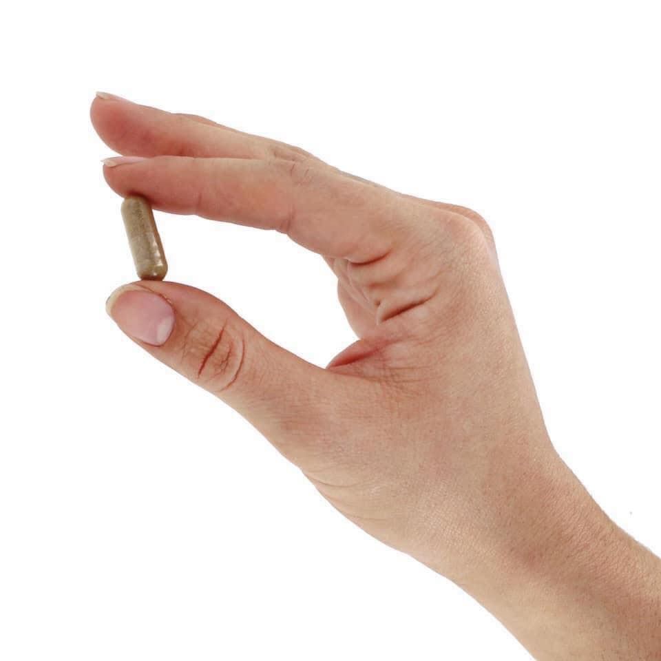 Viên Uống NATURE'S WAY Leg Veins Premium Blend