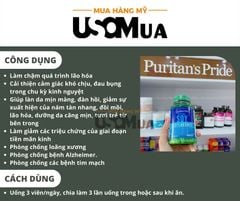 Viên Uống Mầm Đậu Nành PURITAN'S PRIDE SOY Isoflavones 750mg
