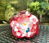  Hộp Mứt Nhạc Hoạ Tiết Xuân Nhiều Mẫu Mới Cherry 