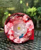  Hộp Mứt Nhạc Hoạ Tiết Xuân Nhiều Mẫu Mới Cherry 