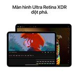  iPad Pro M4 13" wifi 2024 