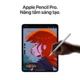  iPad Pro M4 11" wifi 2024 