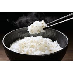 ZOJIRUSHI- Nồi cơm điện NW-VH18-TA (màu nâu)