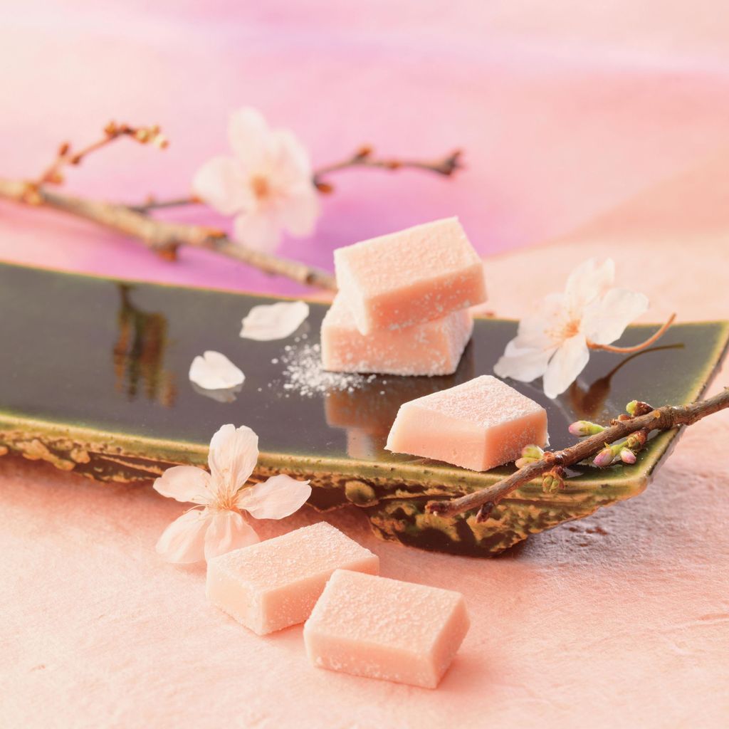 ROYCE- Socola tươi vị sakura fromage 20 viên