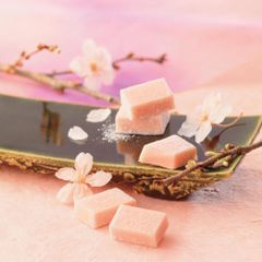 ROYCE- Socola tươi vị sakura fromage 20 viên