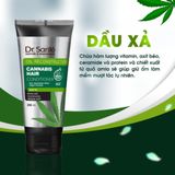  Dầu xả chăm sóc tóc chuyên sâu, phục hồi hư tổn - Cannabis Hair 