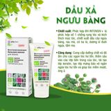  Dầu xả chống rụng tóc & kích thích mọc tóc Elfa Pharm 