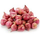 Gia vị Hành bột, Tỏi bột ăn dặm cho bé hương vị tự nhiên, dạng bột mịn tiện lợi - Gia vị Vipep