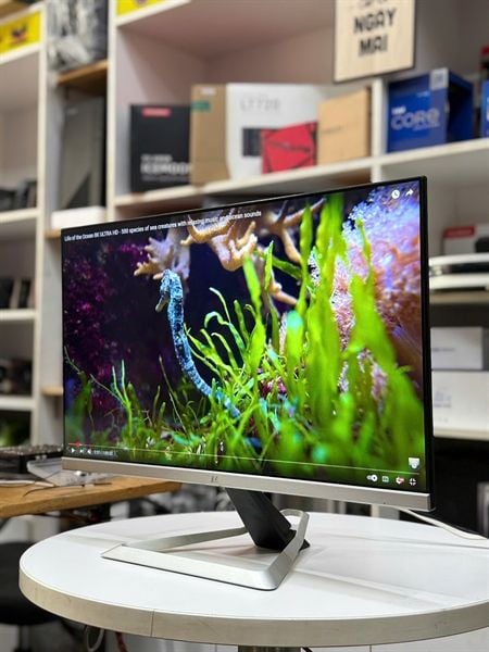 Màn Hình Máy Tính LCD Viewsonic 24ich VX2481 IPS Led 75hz 2ND