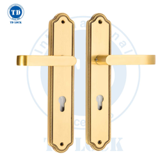 KHÓA TAY GẠT CỬA CHÍNH TD - TWIG - BDH-003055-2
