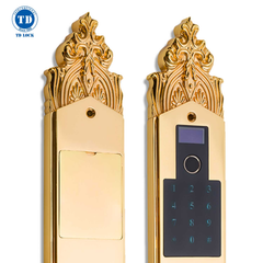 KHÓA ĐIỆN TỬ TD MẠ VÀNG 24K - BSM-680488-G
