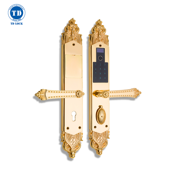 KHÓA ĐIỆN TỬ TD MẠ VÀNG 24K - BSM-680488-G