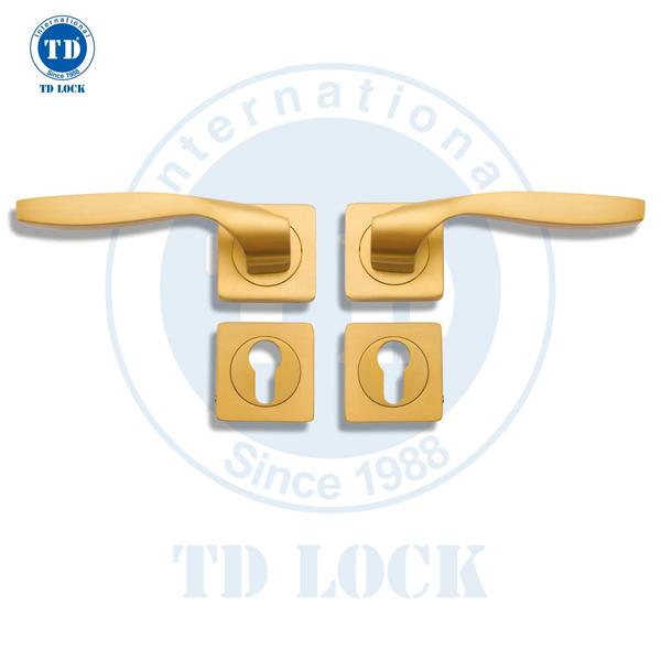 KHÓA PHÂN THỂ - CỬA CHÍNH TD - BDH-125059-2