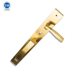 KHÓA TAY GẠT ĐẠI SẢNH TD - PASSI - BPH-725725-2