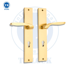 KHÓA TAY GẠT CỬA CHÍNH TD - THE PASSI - BDH-125125-2