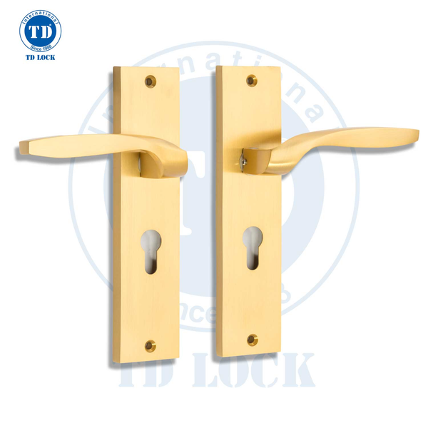 KHÓA TAY GẠT CỬA PHÒNG TD - PASSI - BTP-225225-2