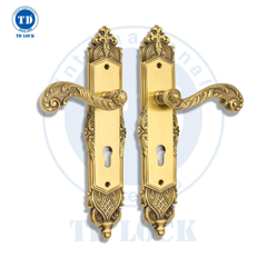 KHÓA TAY GẠT - CỬA CHÍNH - ROMA - BDH-340340-2
