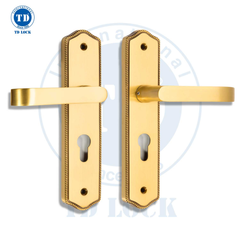 KHÓA TAY GẠT CỬA PHÒNG TD - TWIG - BTP-205255-2