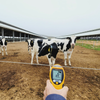 HIGH-TECH FARM MANAGEMENT SOLUTION - TBSG