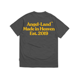  ANGEL WISHES T-SHIRT - GREY 