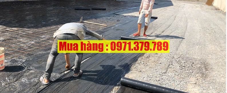 Nilon lót sàn màu đen đổ bê tông 2025 - Màng PE màu đen