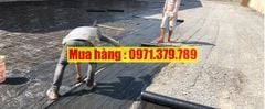 Nilon lót sàn màu đen đổ bê tông 2025 - Màng PE màu đen