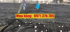 Nilon lót sàn màu đen đổ bê tông 2025 - Màng PE màu đen