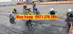 Nilon lót sàn màu đen đổ bê tông 2025 - Màng PE màu đen