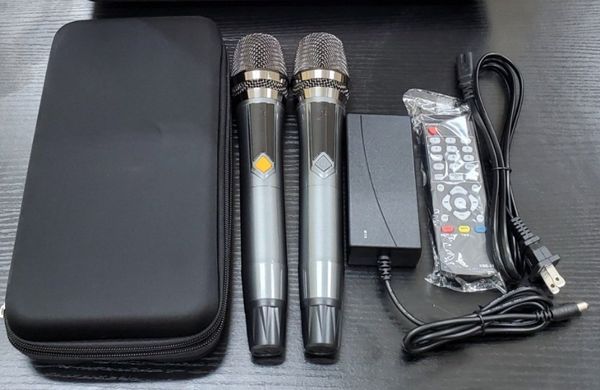 Loa karaoke xách tay cao cấp Ladomax  X-120 (Bass đơn 20cm)