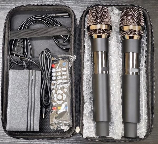 Loa Karaoke xách tay Cao Cấp Ladomax T-125 (Bass đơn 25cm)