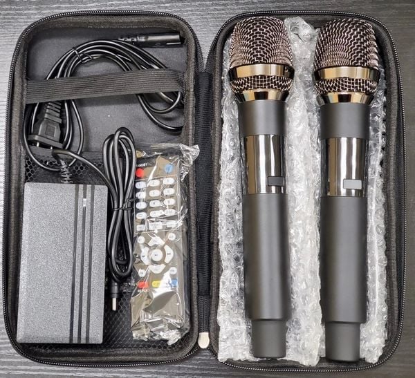 Loa karaoke xách tay cao cấp Ladomax T-120 (Bass đơn 20cm)