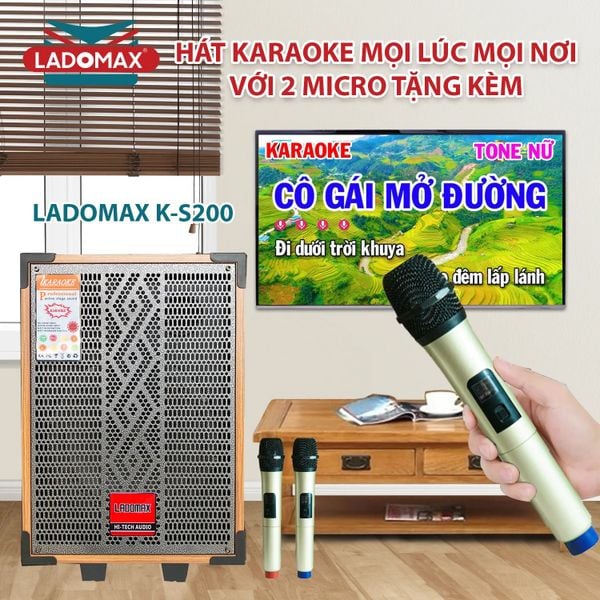 Loa Karaoke di động Ladomax K-S200 (2 tấc đơn)
