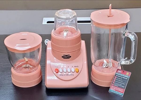 Máy xay sinh tố Ladomax HA-9166-3