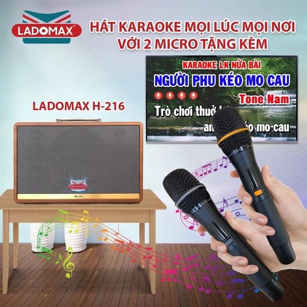 Loa Karaoke xách tay Cao Cấp Ladomax H-216 (Bass đôi 16.5cm)