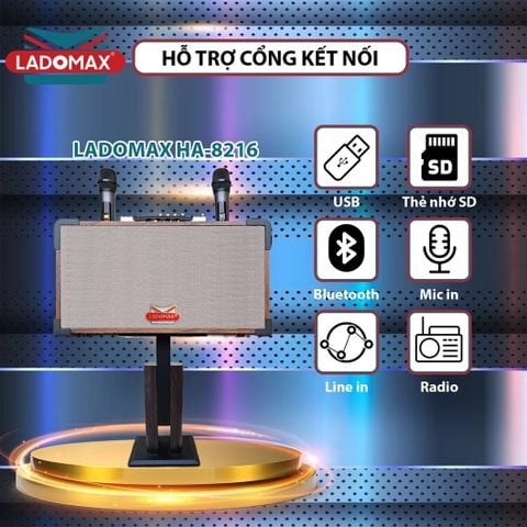 Loa Karaoke xách tay cao cấp HA-8216