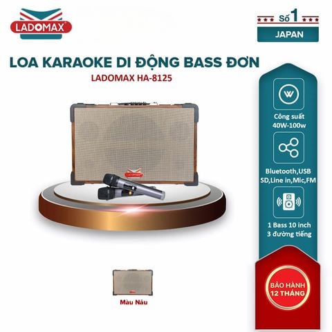 Loa Karaoke xách tay Cao Cấp HA-8125