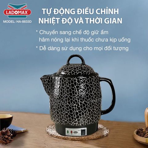 Ấm sắc thuốc Ladomax HA-8833D