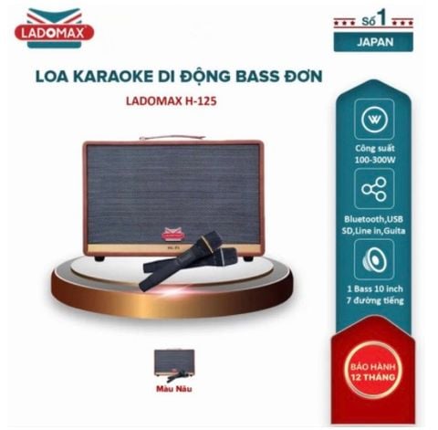 Loa Karaoke xách tay Cao Cấp Ladomax H-125 (Bass đơn 25cm)