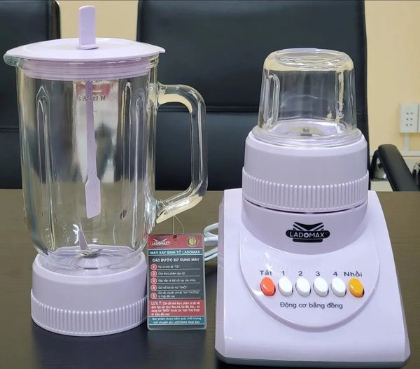 Máy xay sinh tố Ladomax HA-9166-2