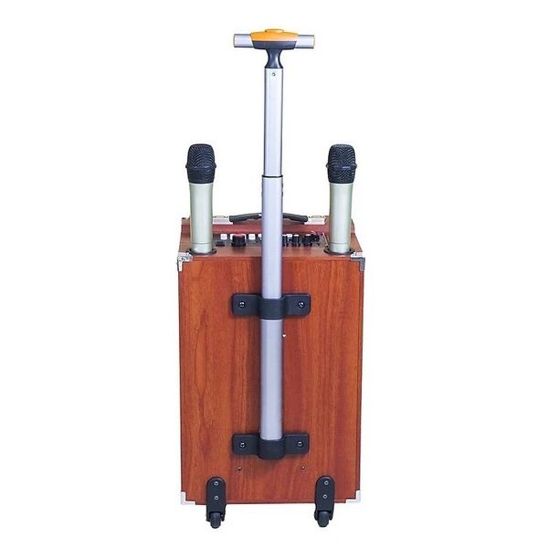 Loa kéo karaoke 2,5 tấc Ladomax K-S252