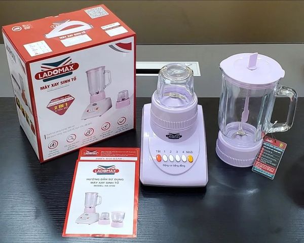 Máy xay sinh tố Ladomax HA-9166-2