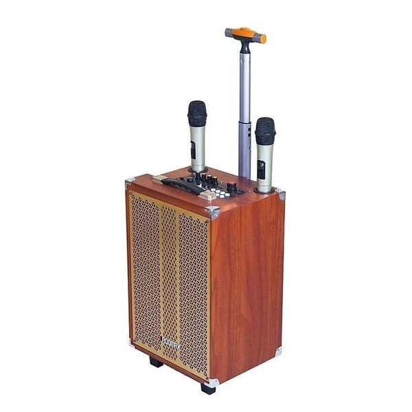 Loa kéo karaoke 2,5 tấc Ladomax K-S252