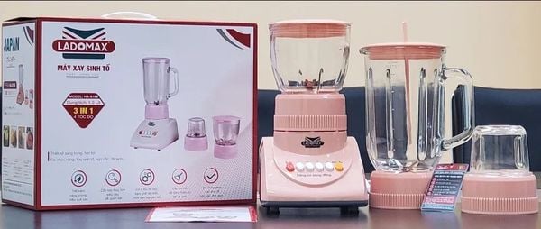 Máy xay sinh tố Ladomax HA-9166-3
