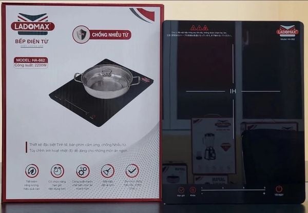 Bếp điện từ cao cấp Ladomax HA-662