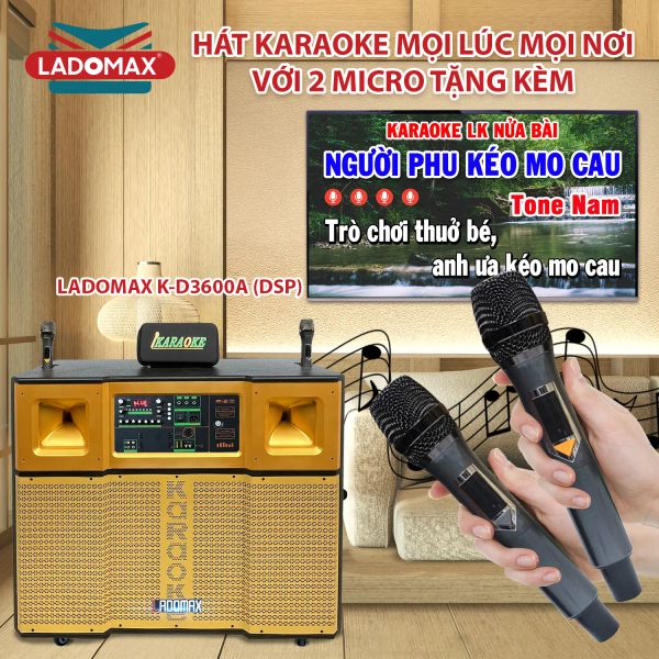 Loa karaoke di động cao cấp Ladomax K-D3600A(DSP)