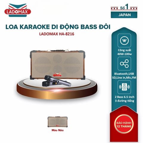 Loa Karaoke xách tay cao cấp HA-8216