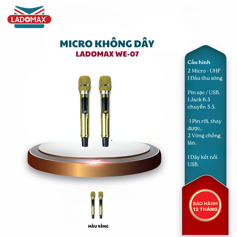 Micro không dây Ladomax WE-07
