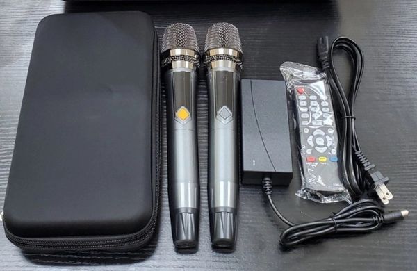 Loa karaoke xách tay cao cấp Ladomax X-125 (Bass đơn 25cm)