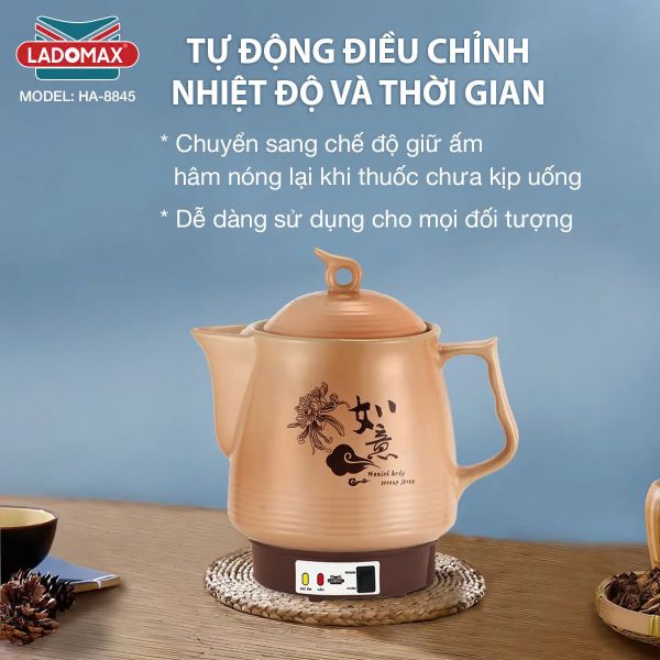 Ấm sắc thuốc Ladomax HA-8845